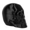 Коdпак + Контейнер Skull Head