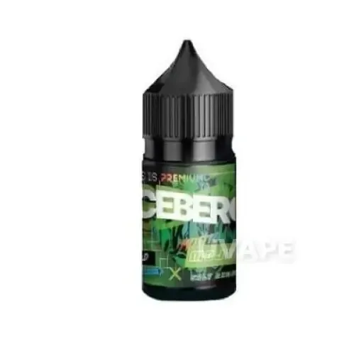 Iceberg Premium Salt 30 мл Kiwi 5%