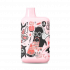 Elf Bar BC4000 LE Peach Mango Watermelon
