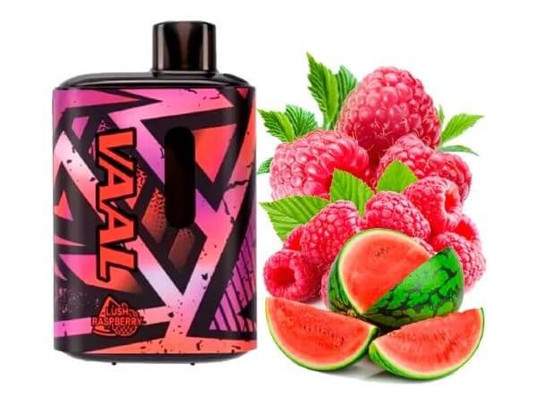 VAAL E5000 Lush Raspberry